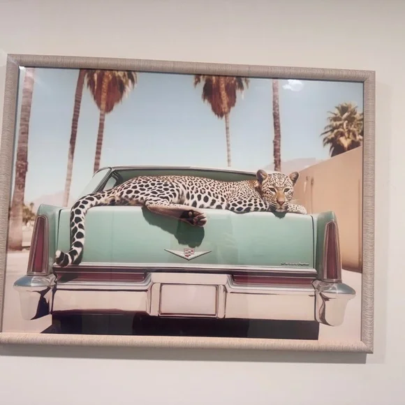 Canvas - Picture 2 of 2